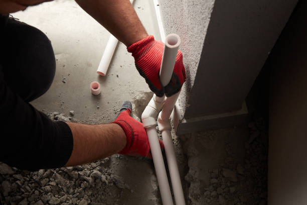 Best Plumbing Services Near Me  in Webb City, MO