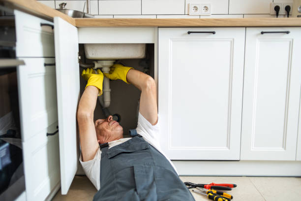Best Commercial Plumbing Services  in Webb City, MO